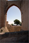 NikonD70_06122009_Palma_34