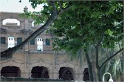 NikonD70_06122009_Palma_54