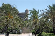 Palma_2009_4