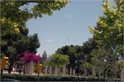 Palma_2009_5