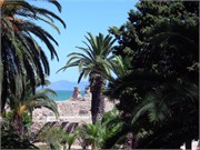 1_Tunis_2009