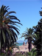 Canon_Tunis_06152009_78