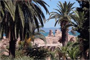 NikonD70_Tunis_06152009_124
