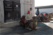 NikonD70_Tunis_06152009_3