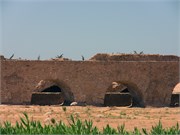 Tunis_2009_50