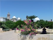 Tunis_2009_64