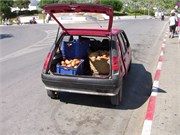 Tunis_2009_80
