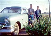 OurCars_13