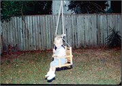 EndOf1978_b44