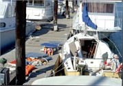 HughSlides1976-1977_63