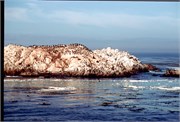 SanFran-Monterrey1977_27