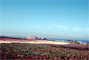 SanFran-Monterrey1977_29
