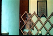 Charleston1978_40