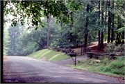 BarrowsDalton1977_3