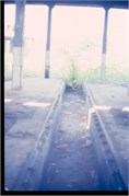 July-Sept1984-IslesOfPalms_2