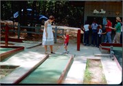 DolphinDrive1980_5