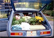 DolphinDrive1980_84