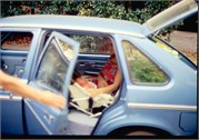 DolphinDrive1980_85