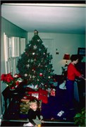 Fall1980-EndOf1981_81