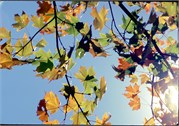 SpartanburgRegionalNov96_18