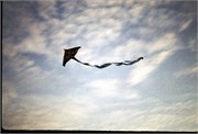 IsleOfPalms1995_19