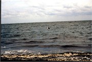IsleOfPalms1995_27