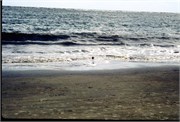 IsleOfPalms1995_28