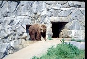 1-WashingtonDCMay96_19