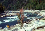 ACA-NationalsOct1996_11