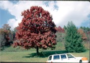 GAF-Nantahala1996_12