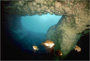VortexSprings1997_11