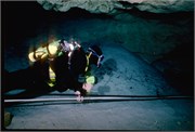 VortexSprings1997_6