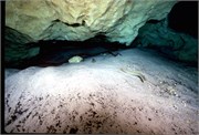VortexSprings1997_7
