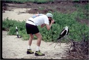 0-GalapagosBirds_5