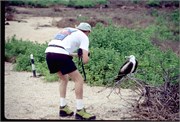 GalapagosBirds_8