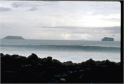 Galapagos1998_13