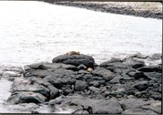 GalapagosScenery_10