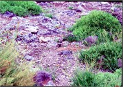 GalapagosScenery_12