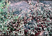 GalapagosScenery_14
