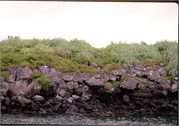 GalapagosScenery_18