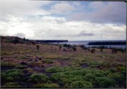 GalapagosScenery_22
