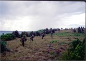 GalapagosScenery_25