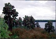 GalapagosScenery_30