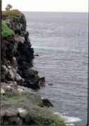 GalapagosScenery_32