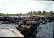 GalapagosScenery_36