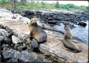 GalapagosScenery_40