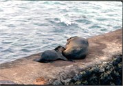 GalapagosScenery_56