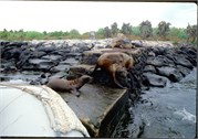 GalapagosScenery_58