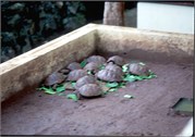 GalapagosScenery_8