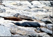 GalapagosScenery_9